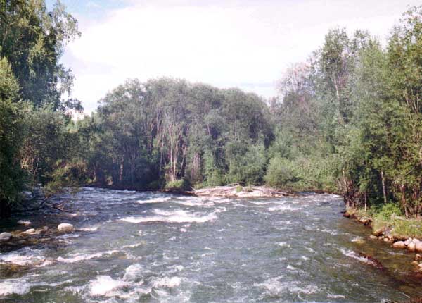 Река Мульта.